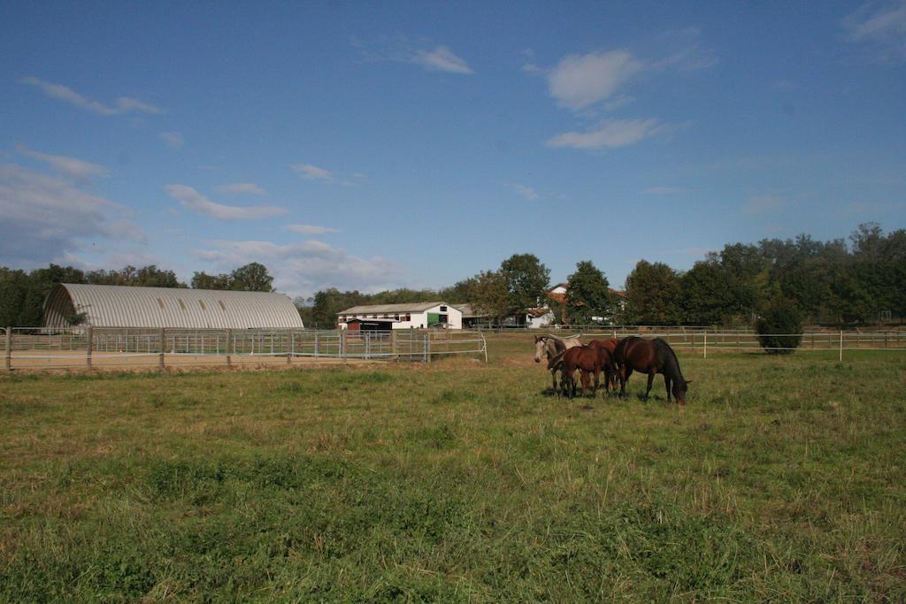 Agriturismo Fano'S Farm Suno Extérieur photo